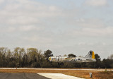 Liberty Belle 01