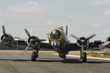 Liberty Belle 06