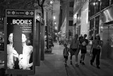 Bodies bw dual jfi