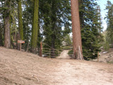 Freeman Creek Grove Trailhead