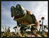 Enormous Froggie