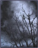 Ghosts in the Night