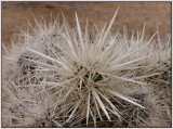 Serious Spikes