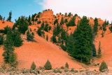 Red Canyon 1w.jpg