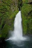 Wahclella Falls 4079w.jpg