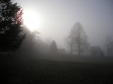Birmingham Cemetary in the Fog