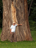 Marv Standing Beside Its Trunk