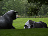 Wonderful Cow Sculptures.jpg