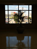 Looking out the East Window