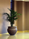 In the Hall 2