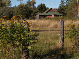 Little Red House-Barn