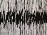 Brain Waves
