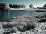 Infrarouge_infrared_World_142.jpg