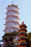 Tiger Pagoda