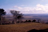 The Plains of East Africa