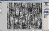 Texture.jpg