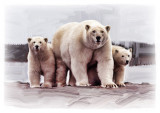 PolarTrilogy.jpg
