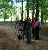 2006 Withalsvliegenvanger / Collared Flycatcher