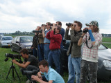 2007 Vale gier / Griffon Vulture