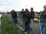 2007 Porseleinhoen