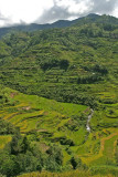  rice terraces 01