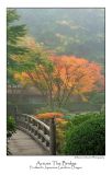 Across The Bridge.jpg