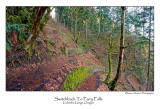 Switchback To Fairy Falls.jpg