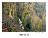 Wahkeena Falls.jpg