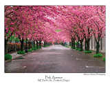 Pink Avenue.jpg  (Up To 30 x 45)