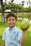 Coconut discovery