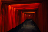 Fushimi-Inari torii