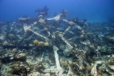 Minnie Breslauer wreck