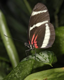 _MG_6421.jpg