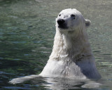 _MG_7404.jpg