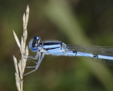 _MG_7614.jpg