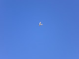 Old plane