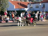 Finally, the mini horses!