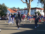 Boo hiss: the mice!