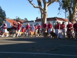 The San Diego Golden Retriever Meetup Group