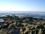 Tide pools