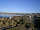 Tide pools