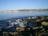 Lyle looms behind an unsuspecting tide pooler
