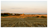 Harvested corn field at sunset, Elburn