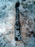 Under Water *Gallery*