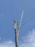 Antenna pointing up??