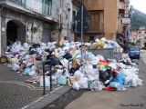 Cornucopia