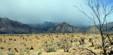 Red Rock Canyon 0016