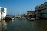 Belize City Fishing  Fleet