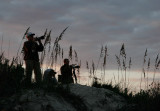 Carolinas' Nature Photographers Association Outer Banks Outing