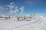 Fresh Snow at the Ranch House